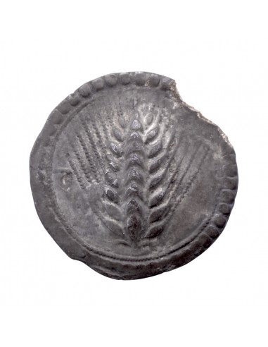 Metaponto - Statere (540-520 B.C.)